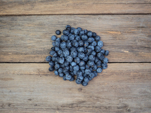 Bio Heidelbeeren