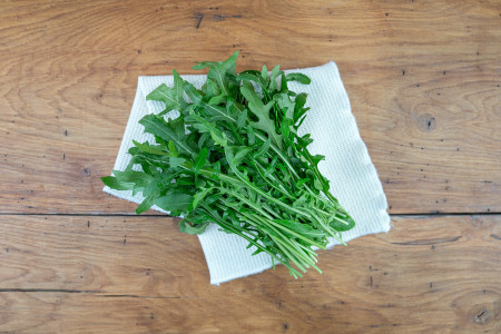 Ruccola