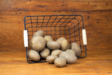 Kartoffel Regina festkochend