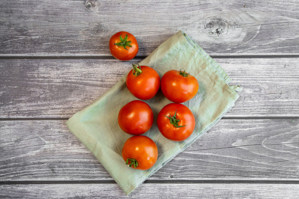 BIO Tomate Culina Strauchtomate