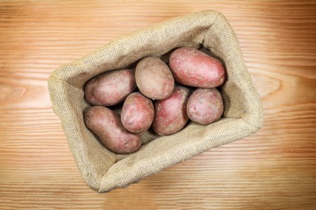 Kartoffeln Laura Vorw. Festkochend