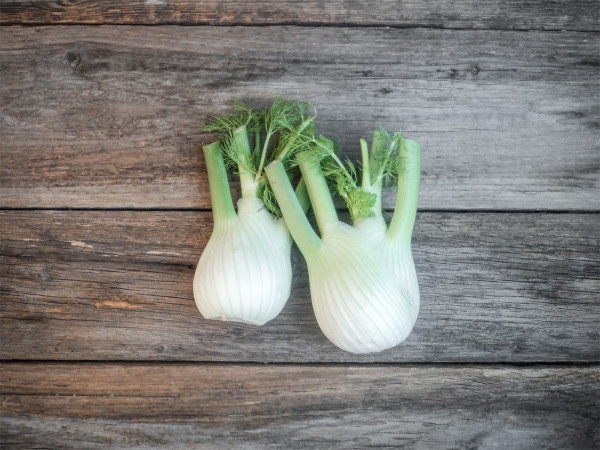 Bio Fenchel