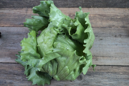 Bio Eissalat
