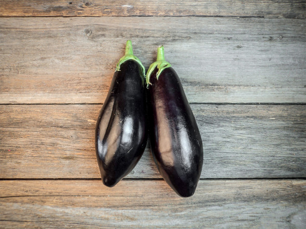 Bio Aubergine