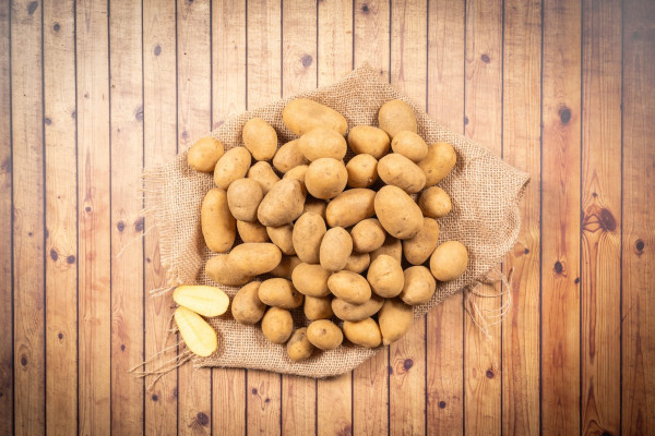 Bio Kartoffeln Drillinge festkochend